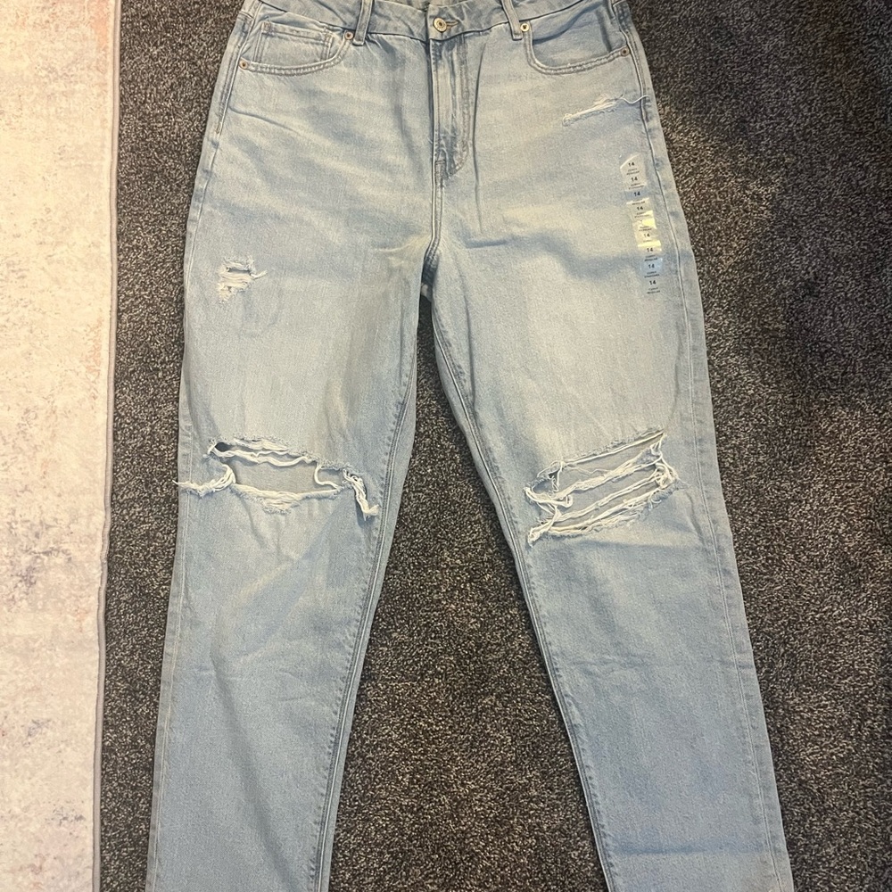AE Strigid Mom Jeans